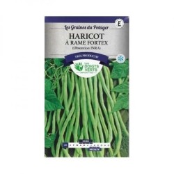 HARICOT À RAME FORTEX - LES...