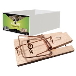 TAPETTE À RAT VRAC X1 - RACAN