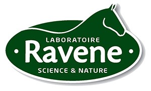 RAVENE