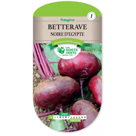 BETTERAVE NOIRE D EGYPTE cat1 BETTERAVE NOIRE D EGYPTE cat1