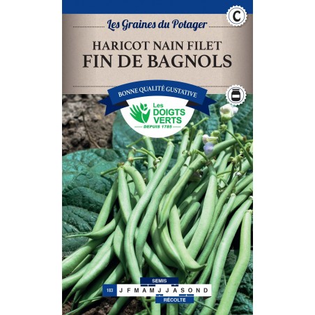 HARICOT NAIN FIN DE BAGNOLS 250G CAT C HARICOT NAIN FIN DE BAGNOLS 250G CAT C