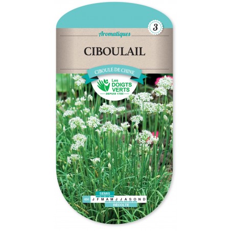 CIBOULAIL CAT3 CIBOULAIL CAT3