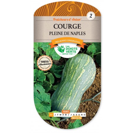 COURGE PLEINE DE NAPLES CAT2 COURGE PLEINE DE NAPLES CAT2
