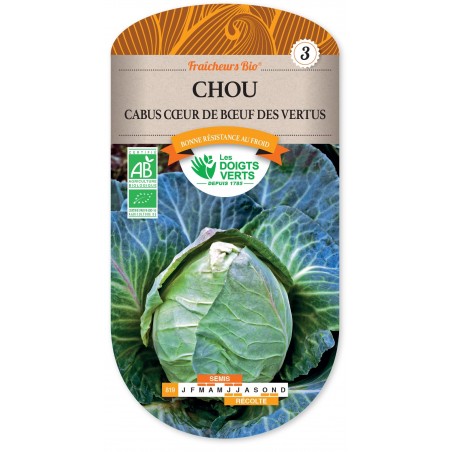 CHOU CABUS COEUR DE BOEUF DESQ VERTUS cat3 CHOU CABUS COEUR DE BOEUF DESQ VERTUS cat3