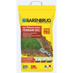 GAZON TERRAIN SEC SANS...