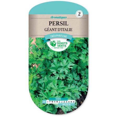 PERSIL GEANT D ITALIE cat2 PERSIL GEANT D ITALIE cat2