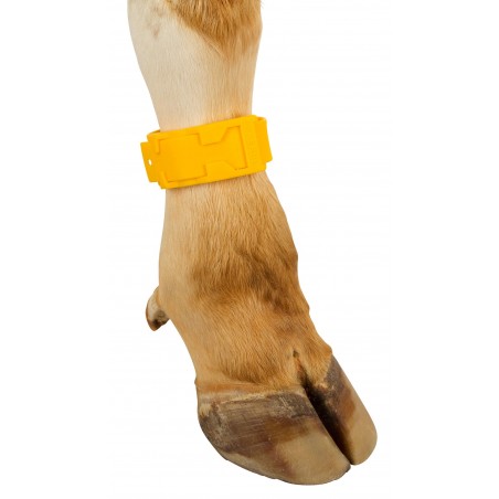 BRACELET PLASTIQUE JAUNE BRACELET PLASTIQUE JAUNE