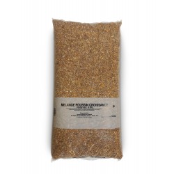 MÉLANGE POUSSIN CROISSANCE...