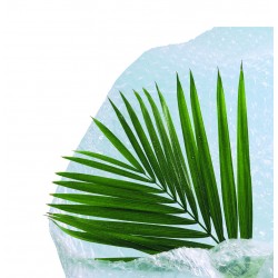 FILM D'ISOLATION A BULLES...