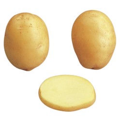 SAC 3KG POMME DE TERRE...