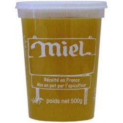 POTS MIEL PLASTIQUE IMPRIME 500GR X10