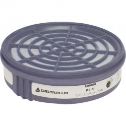 KIT 2 FILTRES P2 POUR...