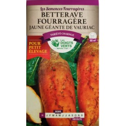 BETTERAVE JAUNE VAURIAC 100G