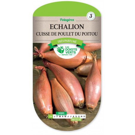 ECHALION CUISSE DE POULET POITOU