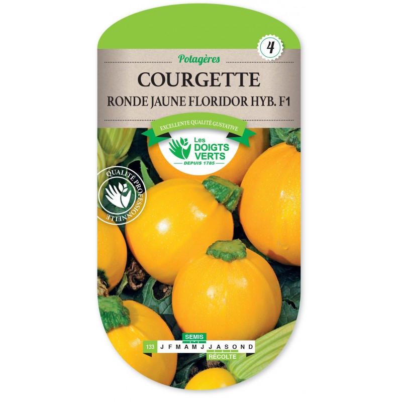 COURGETTE RONDE JAUNE FLORIDOR HYBRIDE F1