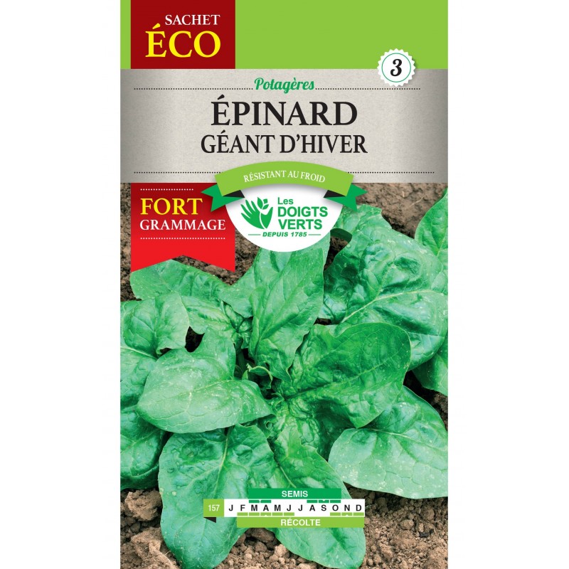 EPINARD GEANT D HIVER SACHET GEANT CAT3