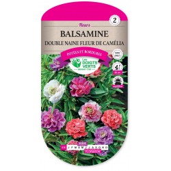 BALSAMINE DOUBLE NAINE FLEUR DE CAMELIA cat2