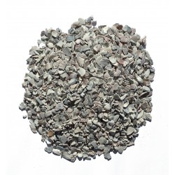 COQUILLES D'HUÎTRES 5KG -...