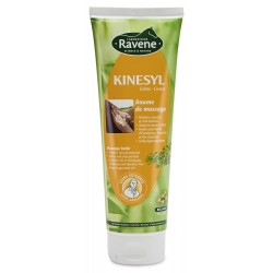 KINESYL 250ML - RAVENE