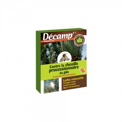 PROCESSIONNAIRE DU PIN -...