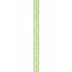 CORDE RETENTION MAONA 1...