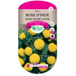 ROSE D INDE NAINE DOUBLE JAUNE
