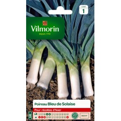 POIREAU BLEU DE SOLAISE -...