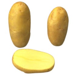 SAC 5 KG POMME DE TERRE...