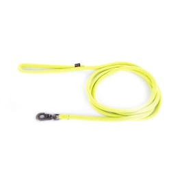 LAISSE NYLON ROND 2M VERT