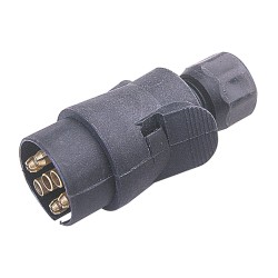 FICHE MÂLE 13 PLOTS...