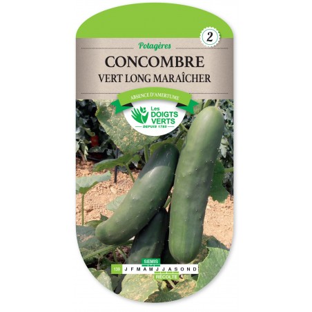 CONCOMBRE VERT LONG MARAÎCHER cat2