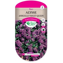 ALYSSE ANNUELLE VIOLET QUEEN cat2
