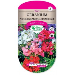 GERANIUM PELARGONIUM ZONALE EN MELANGE cat3