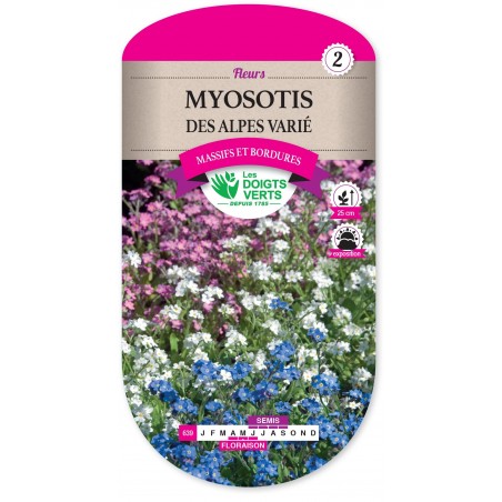 MYOSOTIS DES ALPES VARIE cat2