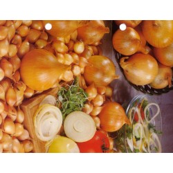 OIGNONS STUTTGARTER...