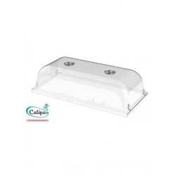 CLOCHE TRANSPARENTE...