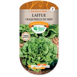 LAITUE CRAQUERELLE DU MIDI...