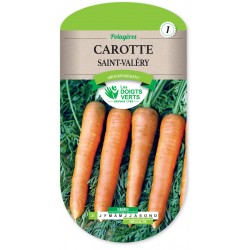CAROTTE SAINT-VALÉRY -...