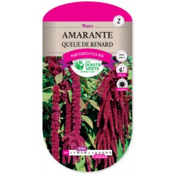 AMARANTE QUEUE DE RENARD -...