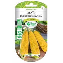 MAÏS DOUX GOLDEN BANTAM BIO...