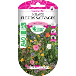 MÉLANGE FLEURS SAUVAGES BIO...
