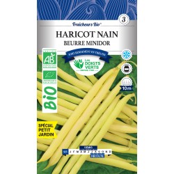 HARICOT NAIN BEURRE MINIDOR...