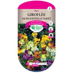 GIROFLÉE JAUNE RAVENELLE...