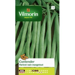 HARICOT CONTENDER - VILMORIN