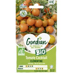 TOMATE CLÉMENTINE BIO -...