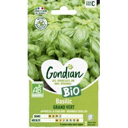 BASILIC GRAND VERT BIO -...