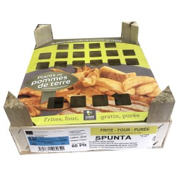 CLAYETTE POMME DE TERRE 60...