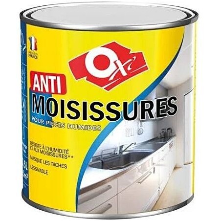 Peinture Anti-moisissures 0.5 litre blanc - OXI - - 38335Générique