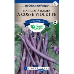 HARICOT RAMES COSSES...