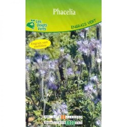 PHACELIA 500G - LES DOIGTS...